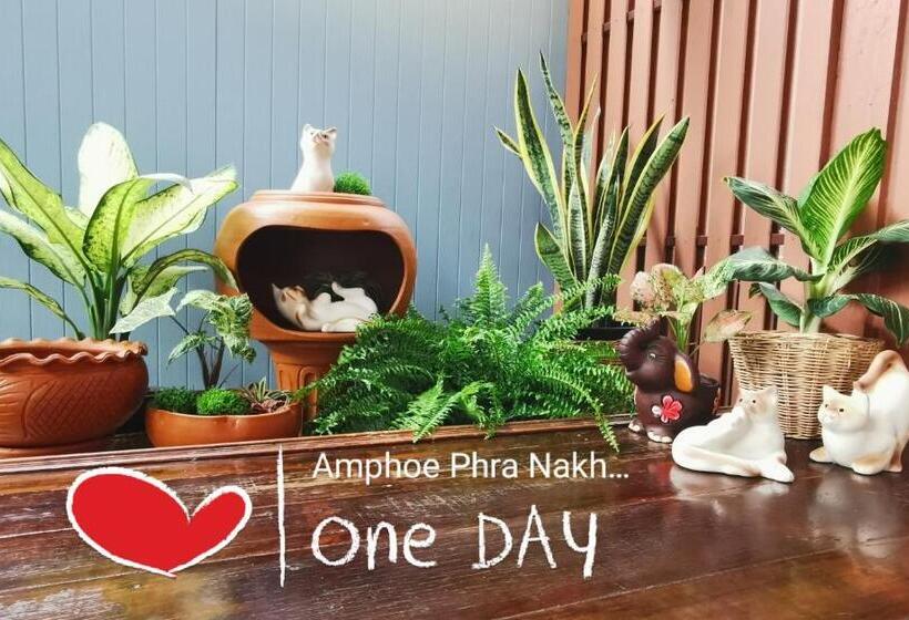 Pensão Chanida Home