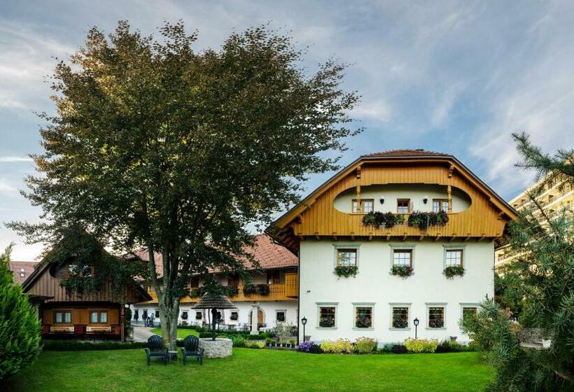 پانسیون Penzion Mayer