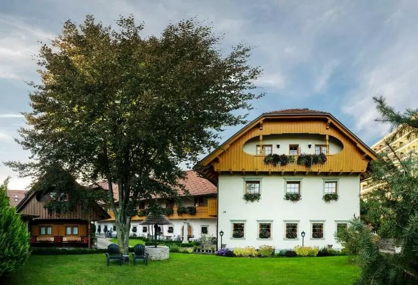 پانسیون Penzion Mayer