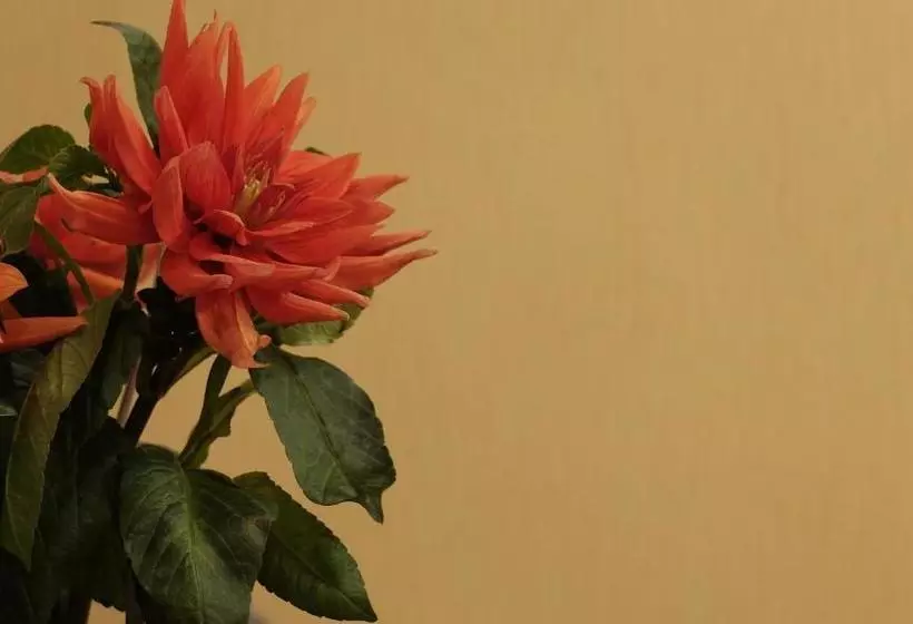 Cozy Apartment In The City Center