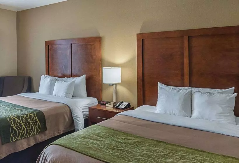 Hotelli Comfort Inn Midland South I20