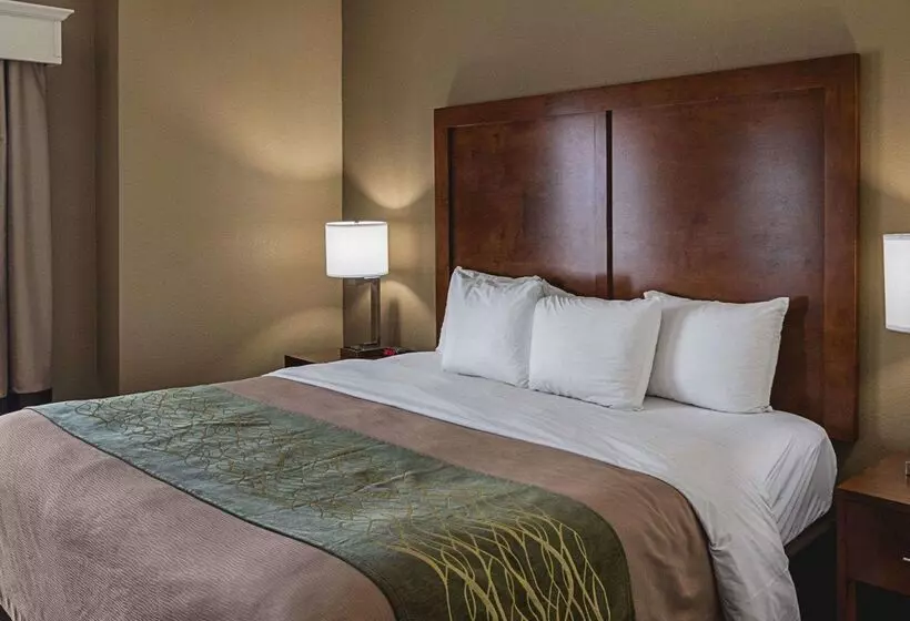 Hotelli Comfort Inn Midland South I20