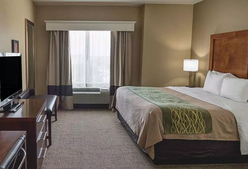 Hotelli Comfort Inn Midland South I20