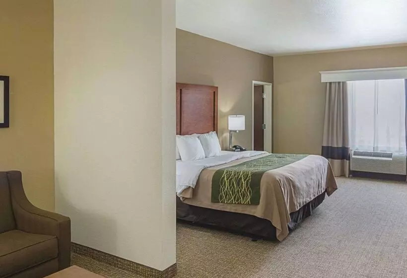 Hotelli Comfort Inn Midland South I20