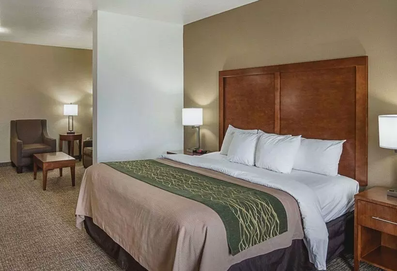 Hotelli Comfort Inn Midland South I20