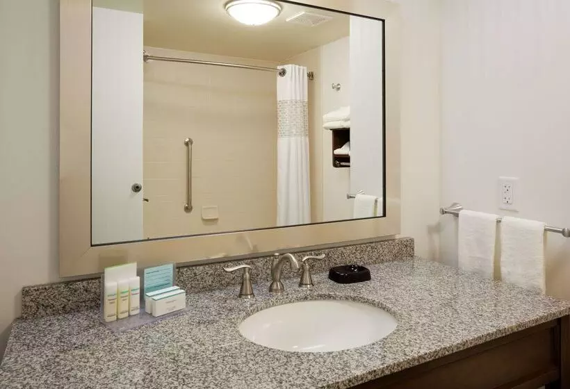 酒店 Hampton Inn & Suites Minneapolis West/ Minnetonka