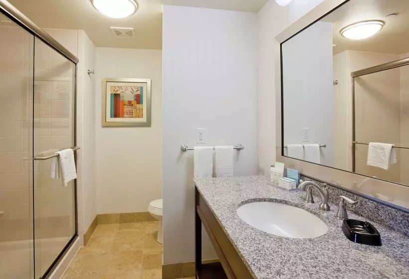 酒店 Hampton Inn & Suites Minneapolis West/ Minnetonka