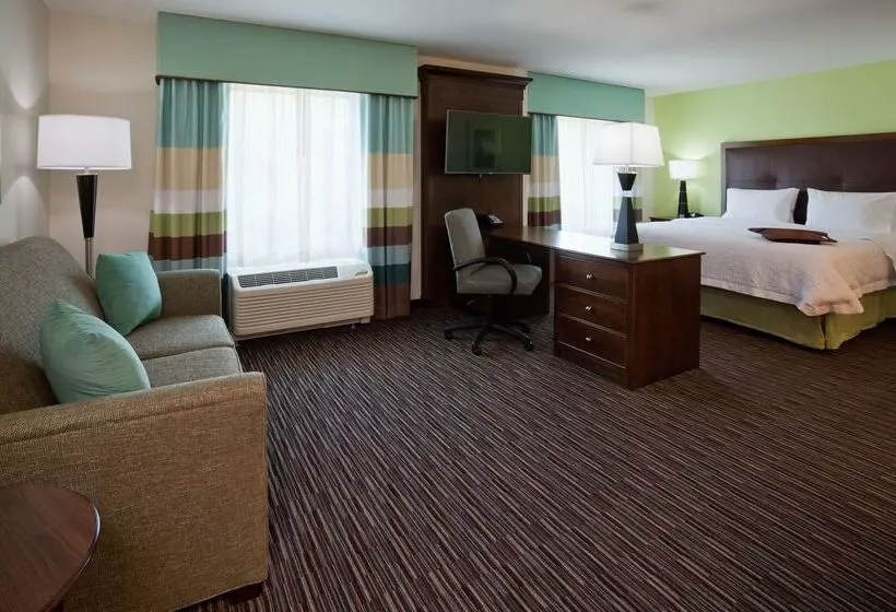 酒店 Hampton Inn & Suites Minneapolis West/ Minnetonka