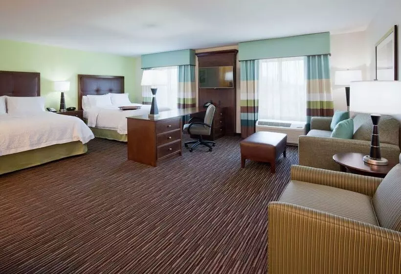酒店 Hampton Inn & Suites Minneapolis West/ Minnetonka