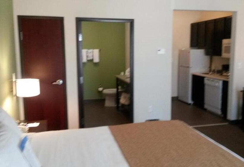 酒店 Petrostay Inn & Suites Cotulla