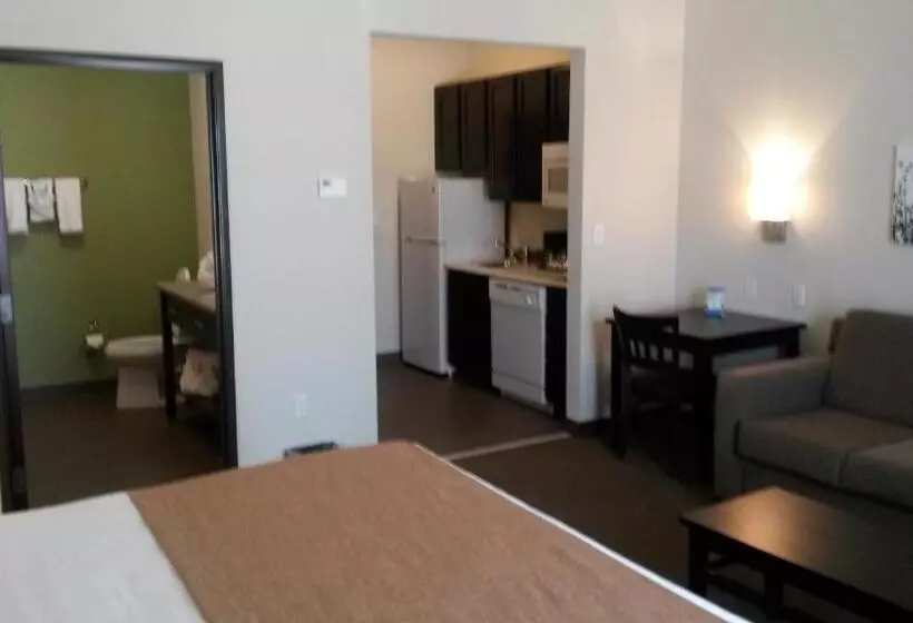 בית מלון כפרי Petrostay Inn & Suites Cotulla