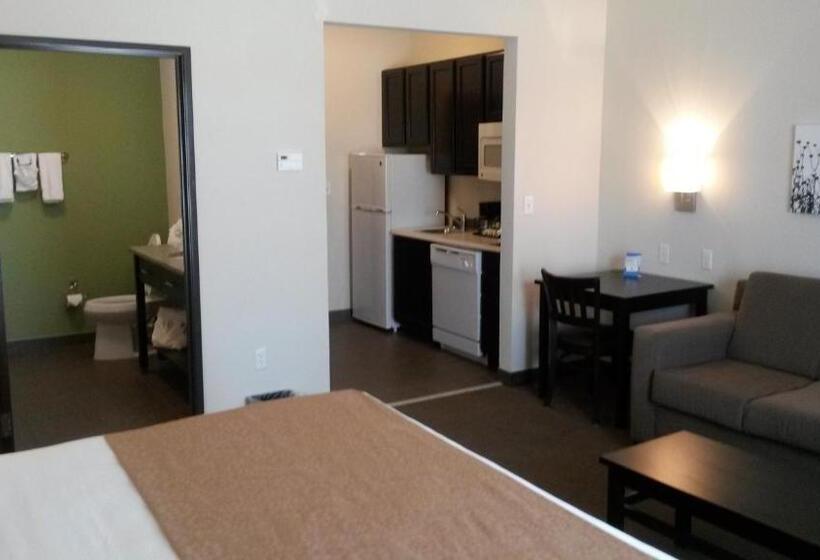 酒店 Petrostay Inn & Suites Cotulla