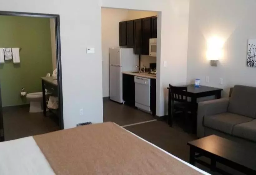 בית מלון כפרי Petrostay Inn & Suites Cotulla