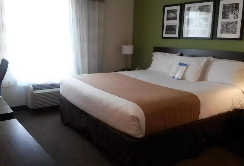 בית מלון כפרי Petrostay Inn & Suites Cotulla