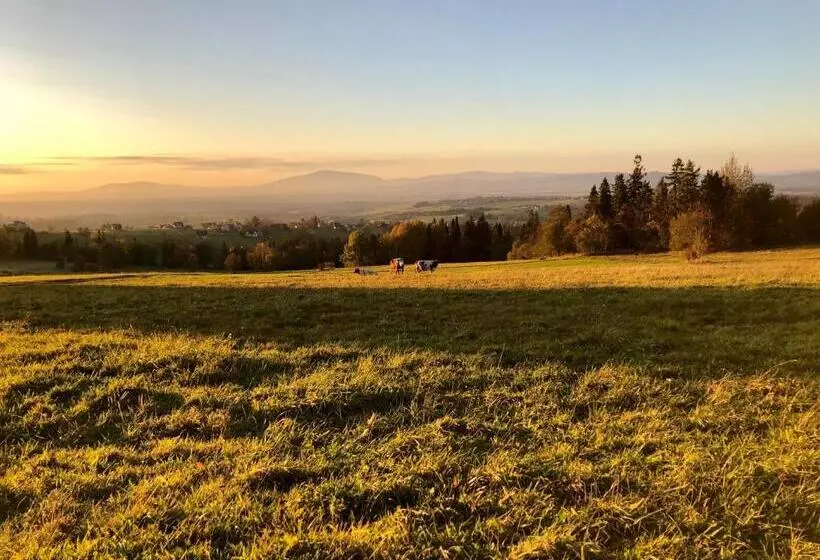 Отель Pokoje Gościnne Góraleczka