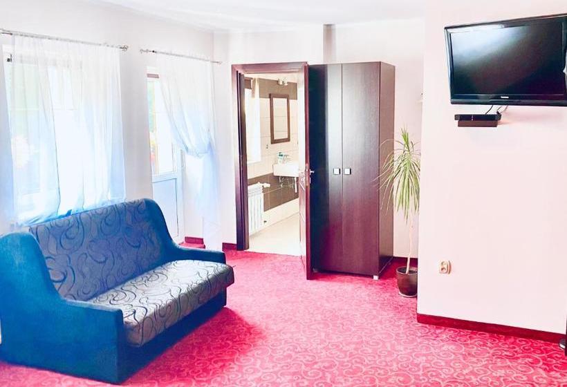 호텔 Pensjonat Przy Zamku