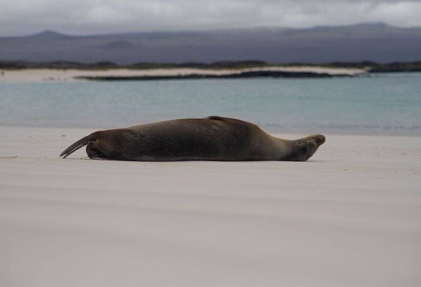בית מלון כפרי Red Booby