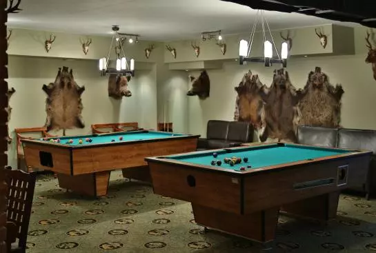 Отель Gościniec Ryński Młyn