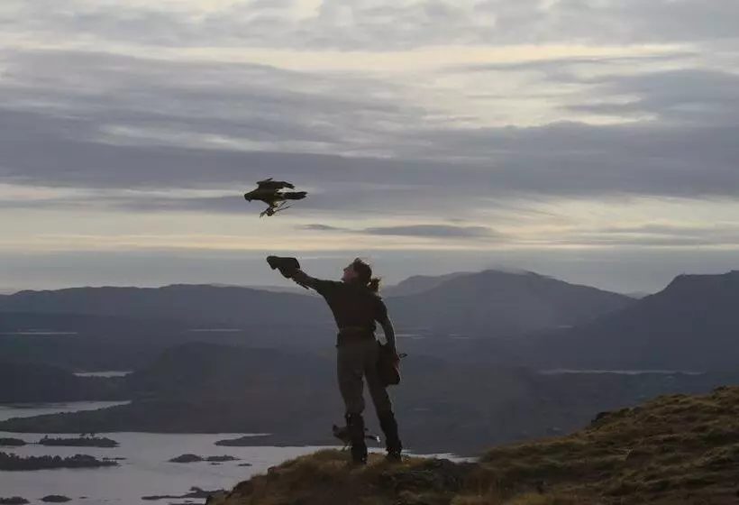酒店 The Lodge At Ashford Castle