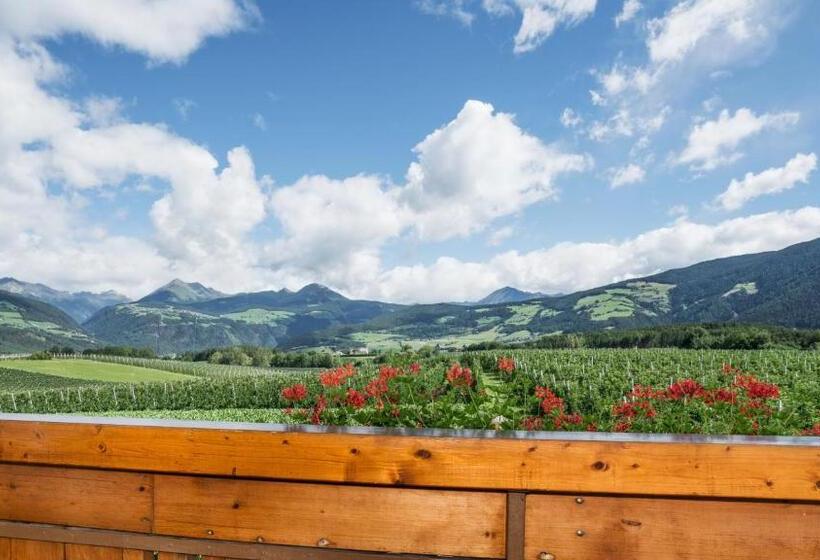 Mineralienhotel Natznerhof