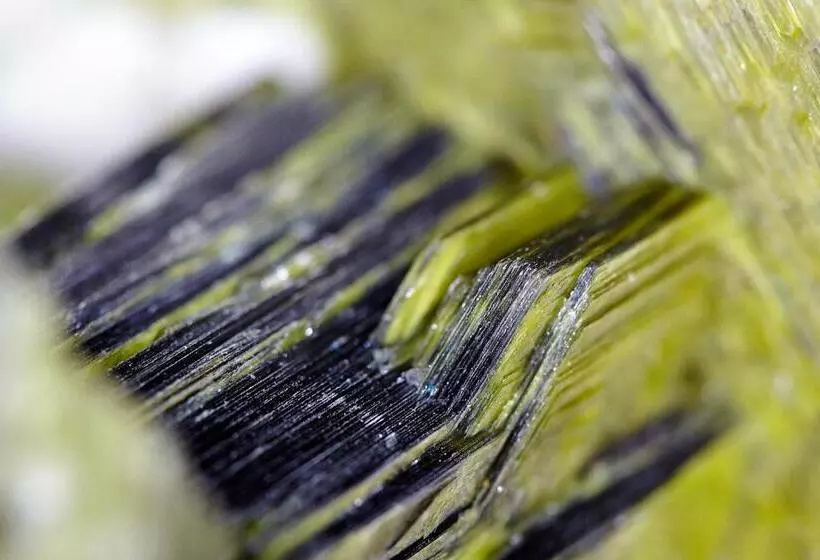 Mineralienhotel Natznerhof