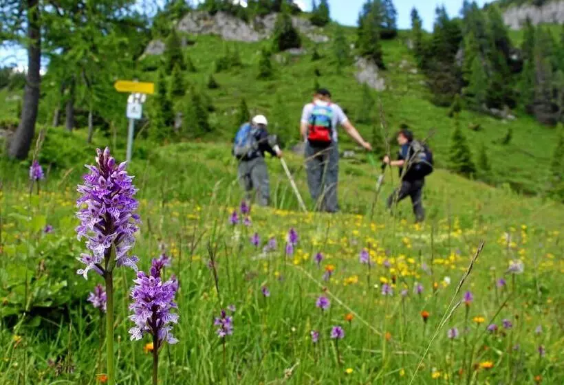 פנסיון Gasthof Pontiller