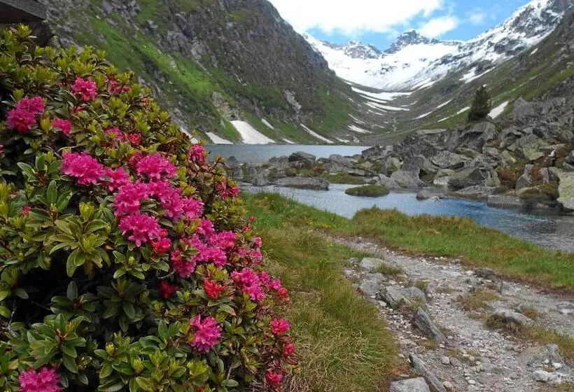 פנסיון Gasthof Pontiller