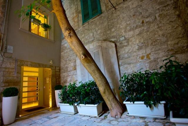 Rezydencja Fabris Palace