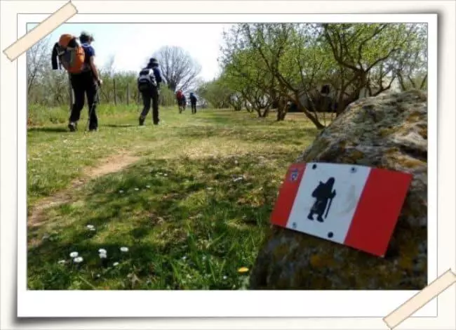 ホテル Agriturismo Il Poderetto
