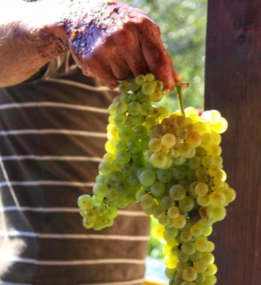 فندق Agriturismo Il Poderetto