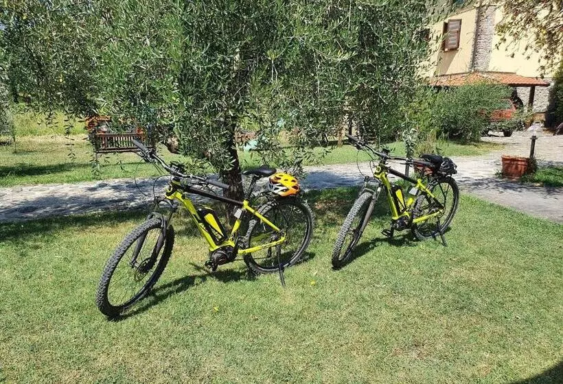 ホテル Agriturismo Il Poderetto