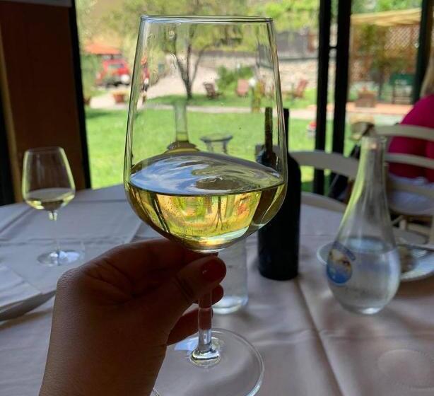 فندق Agriturismo Il Poderetto