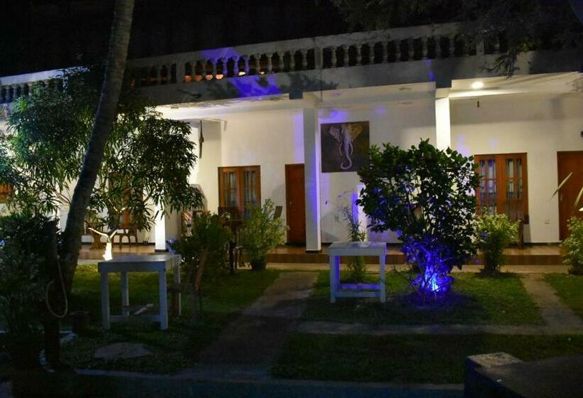 بنسيون Aroma Guest House