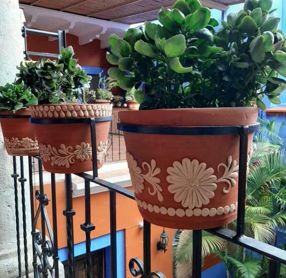 Casa De Siete Balcones Hotel Boutique