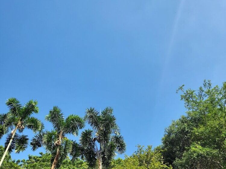 Castellon De Juanambu