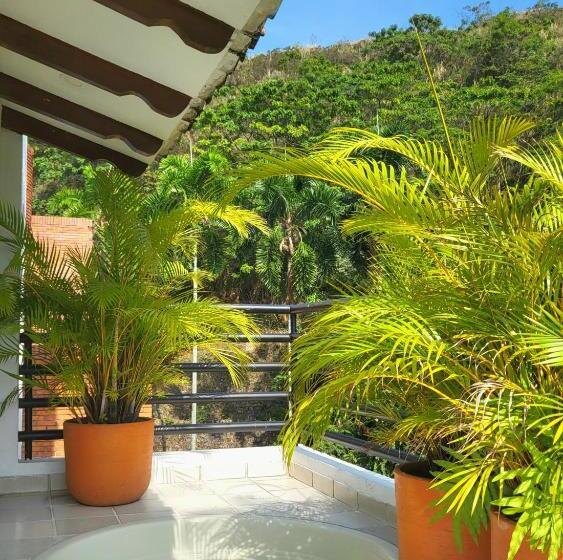 Castellon De Juanambu