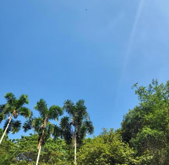 Castellon De Juanambu