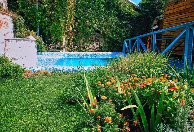 هتل Sapar Standart