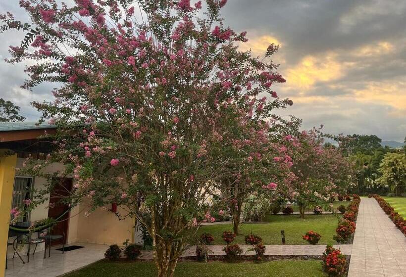 فندق Villas Vilma