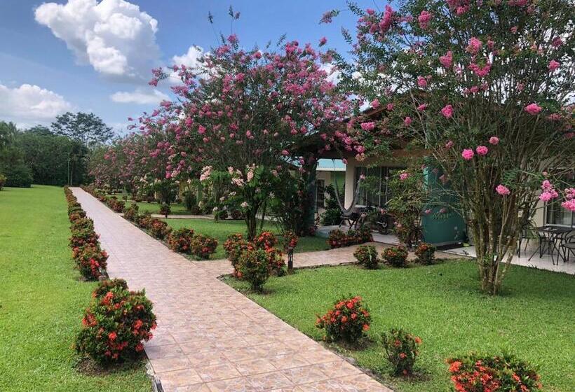 فندق Villas Vilma