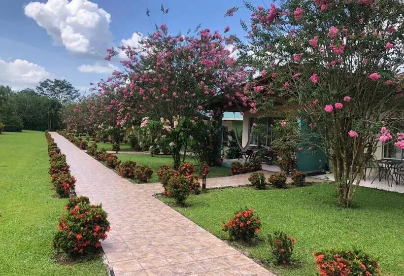 ホテル Villas Vilma