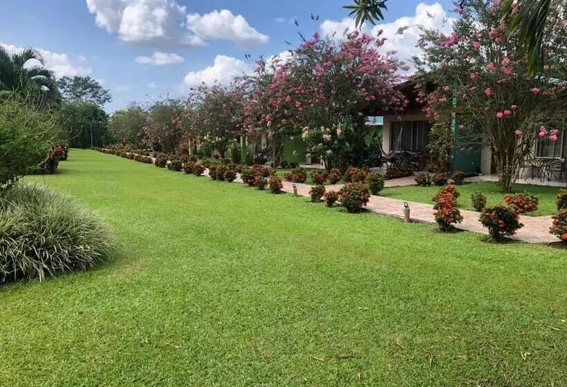 ホテル Villas Vilma