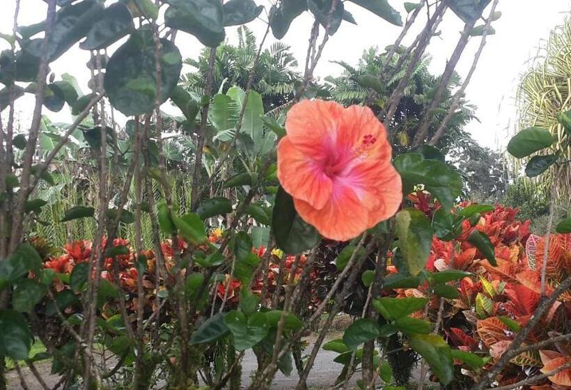 فندق Villas Vilma