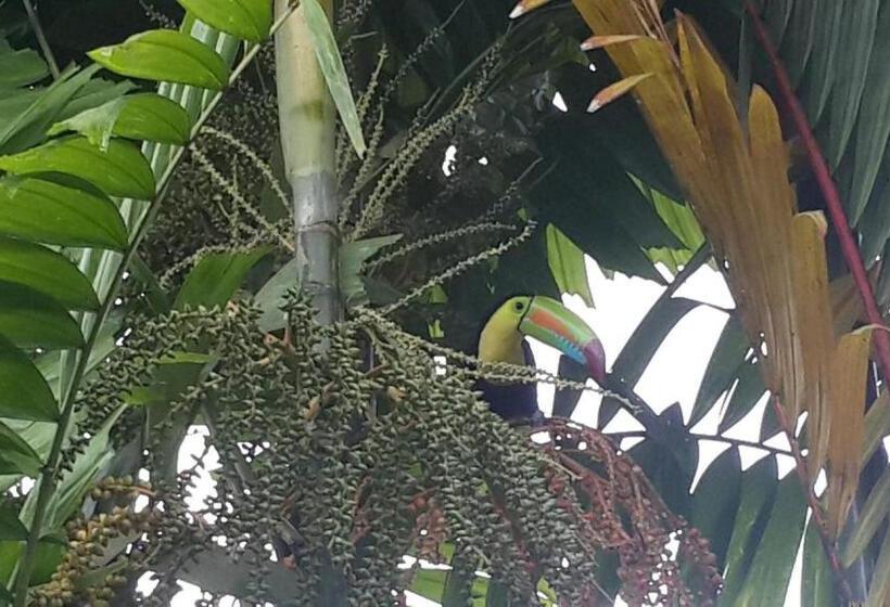 فندق Villas Vilma