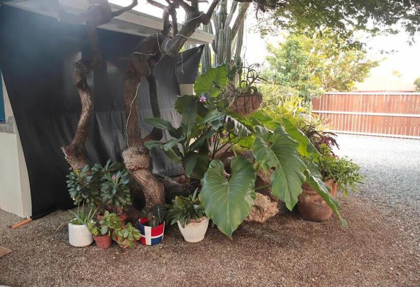 Naïma Luxury Home, Cottage & Apartment Rentals