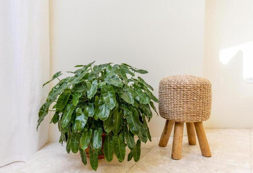 Naïma Luxury Home, Cottage & Apartment Rentals