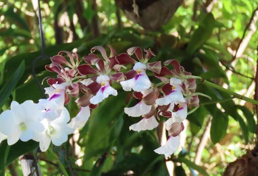 Naïma Luxury Home, Cottage & Apartment Rentals