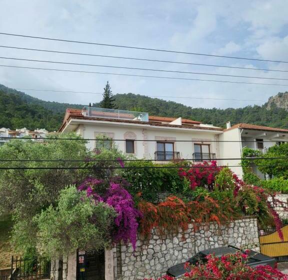 Olive Apartments Studio