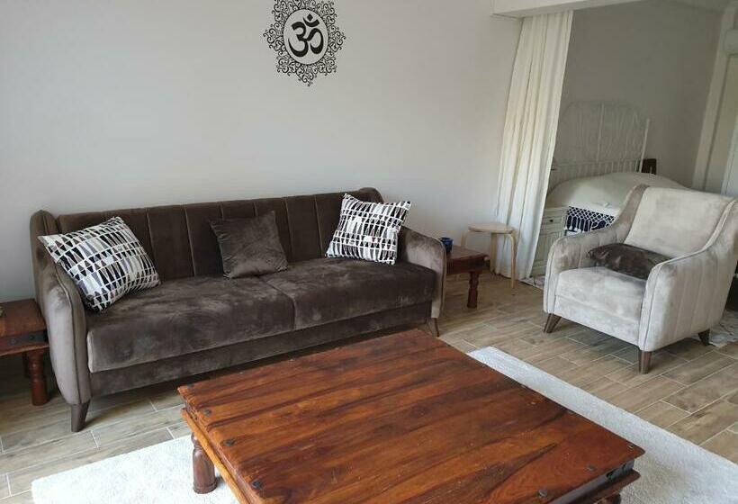 Olive Apartments Studio