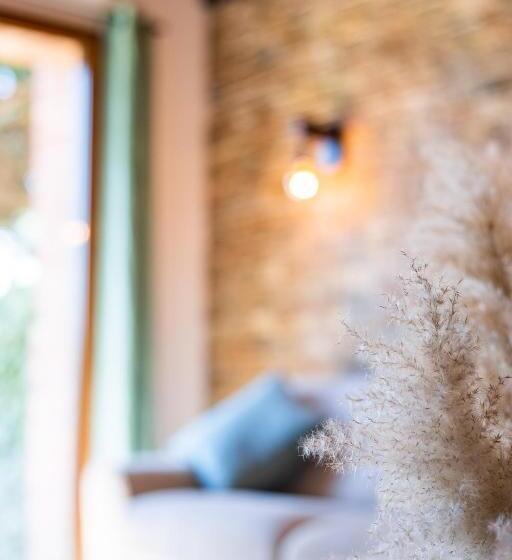 Superbe Maison Avec Piscine Et Jacuzzi Dans Les Dunes